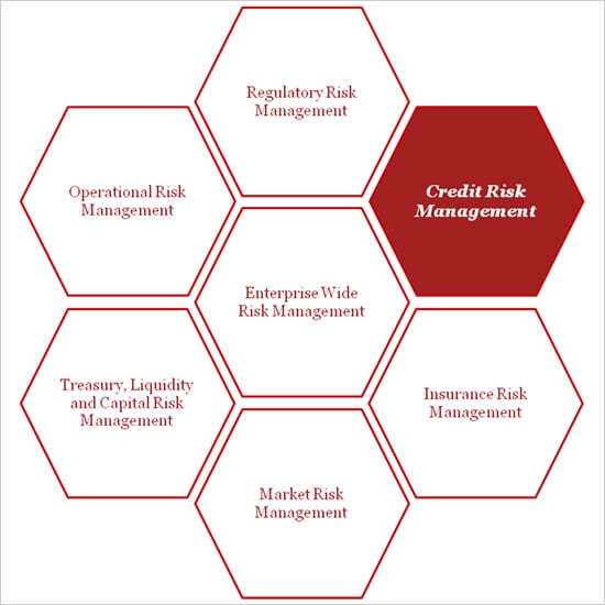 Thesis on credit risk management in banks