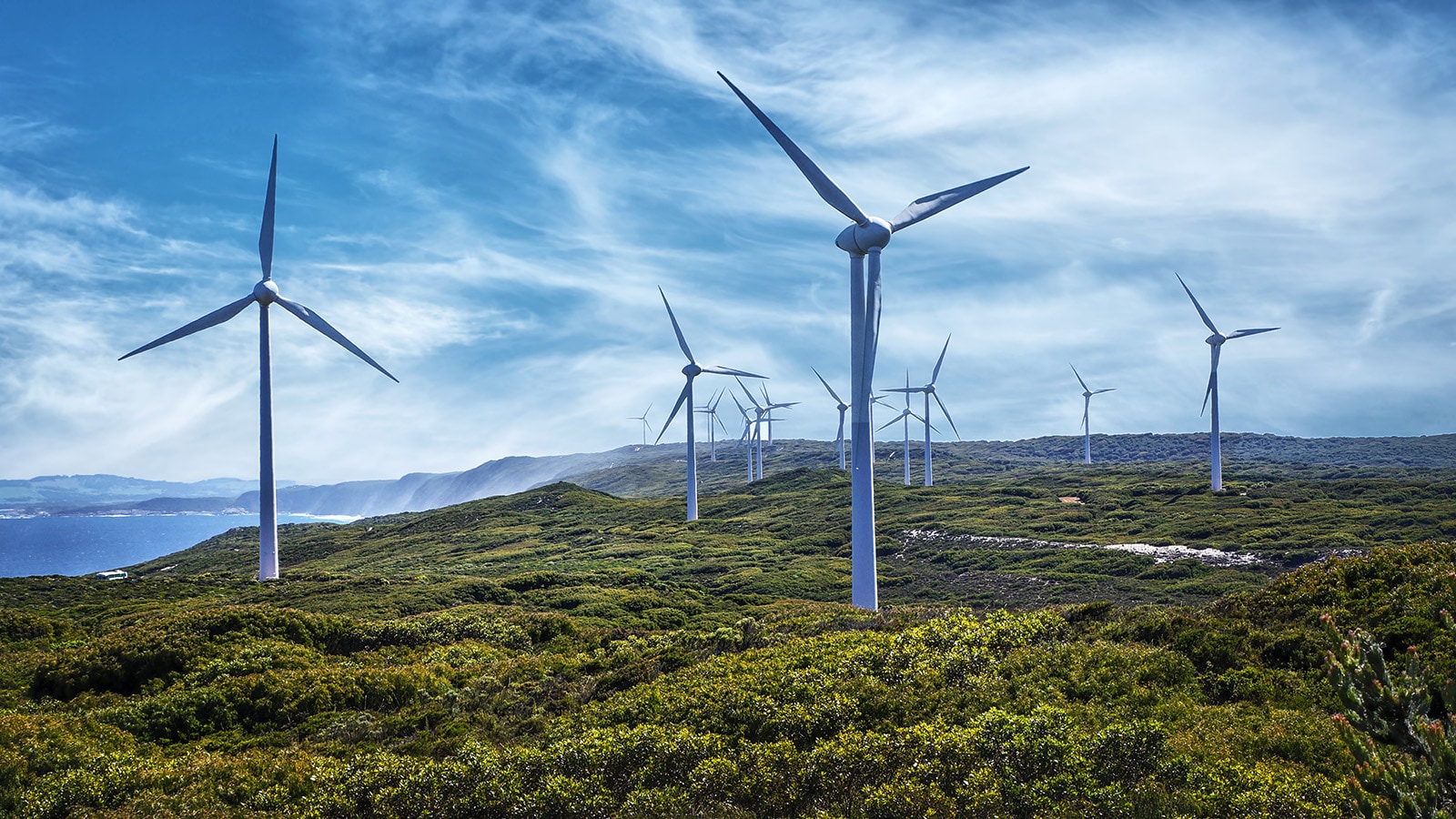 Windmill farm