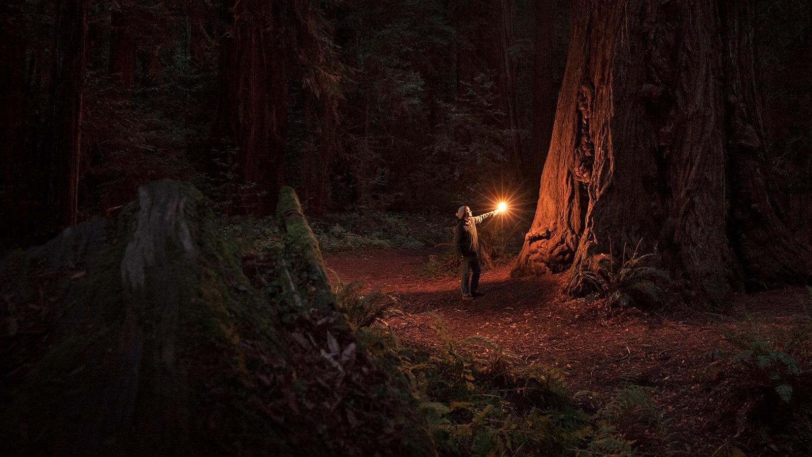 PwC Australia's 24th CEO Survey