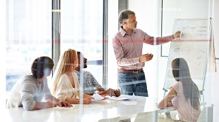 Workforce Planning in the Public Sector: Balancing capability and affordability