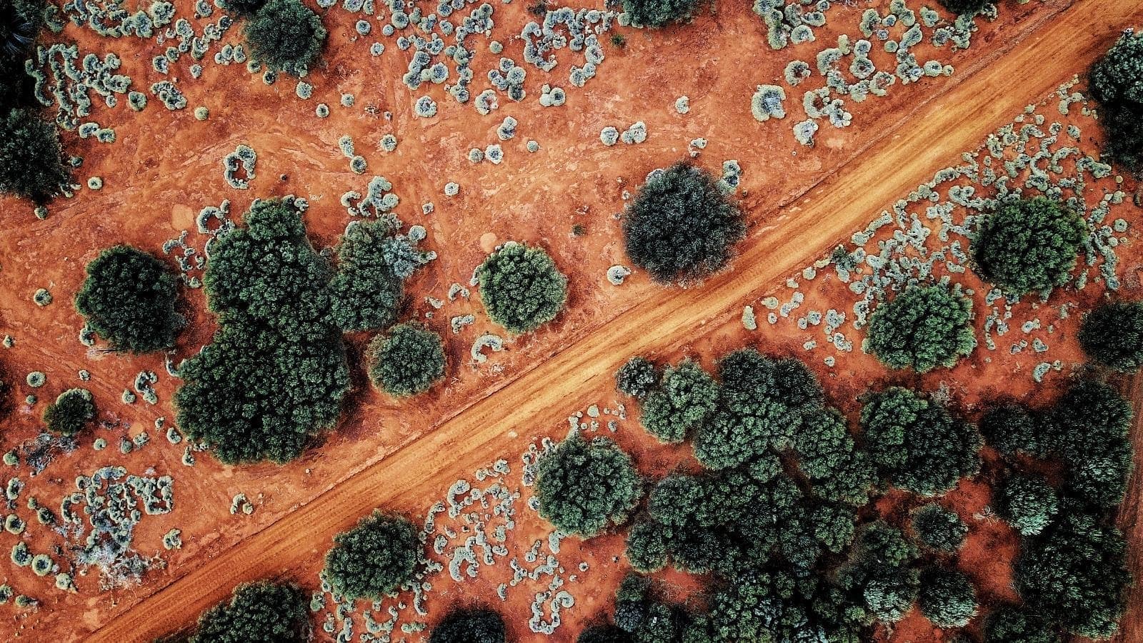 Aerial view of a wild landscape.
