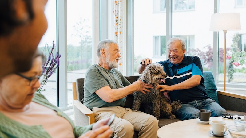 Opportunities For A New Aged Care System Aged Care Quality PwC 