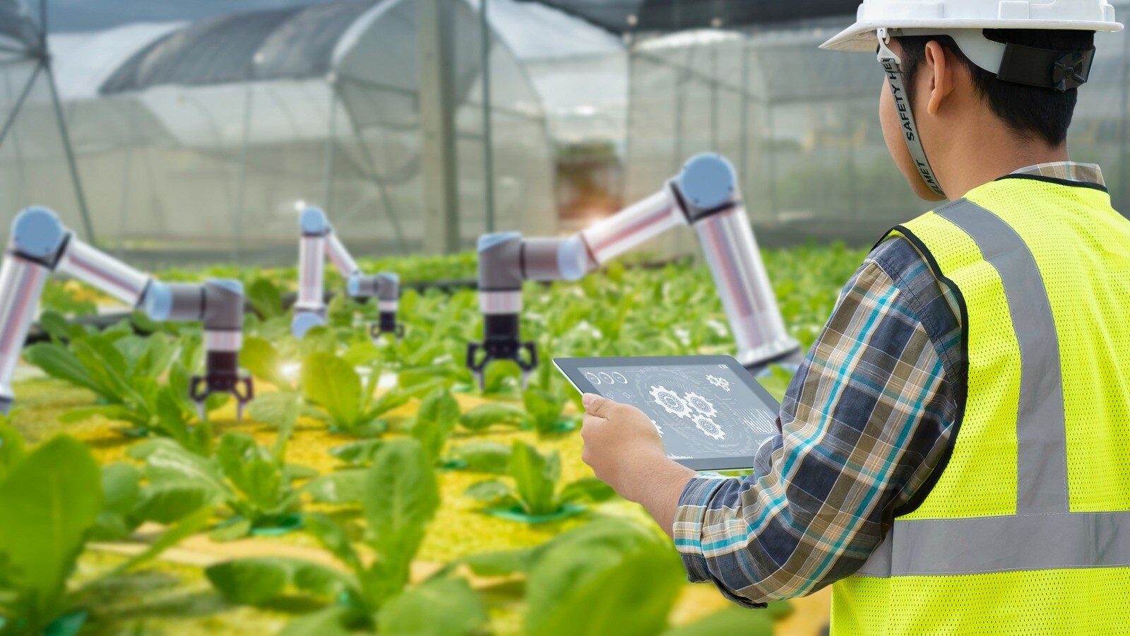 robots planing veggies