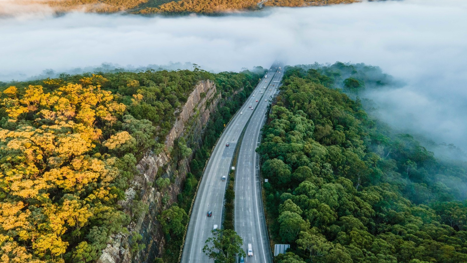 Ten questions for a winning climate-transition business strategy