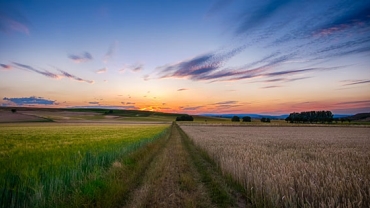 Agribusiness & Food | Industries | PwC Australia