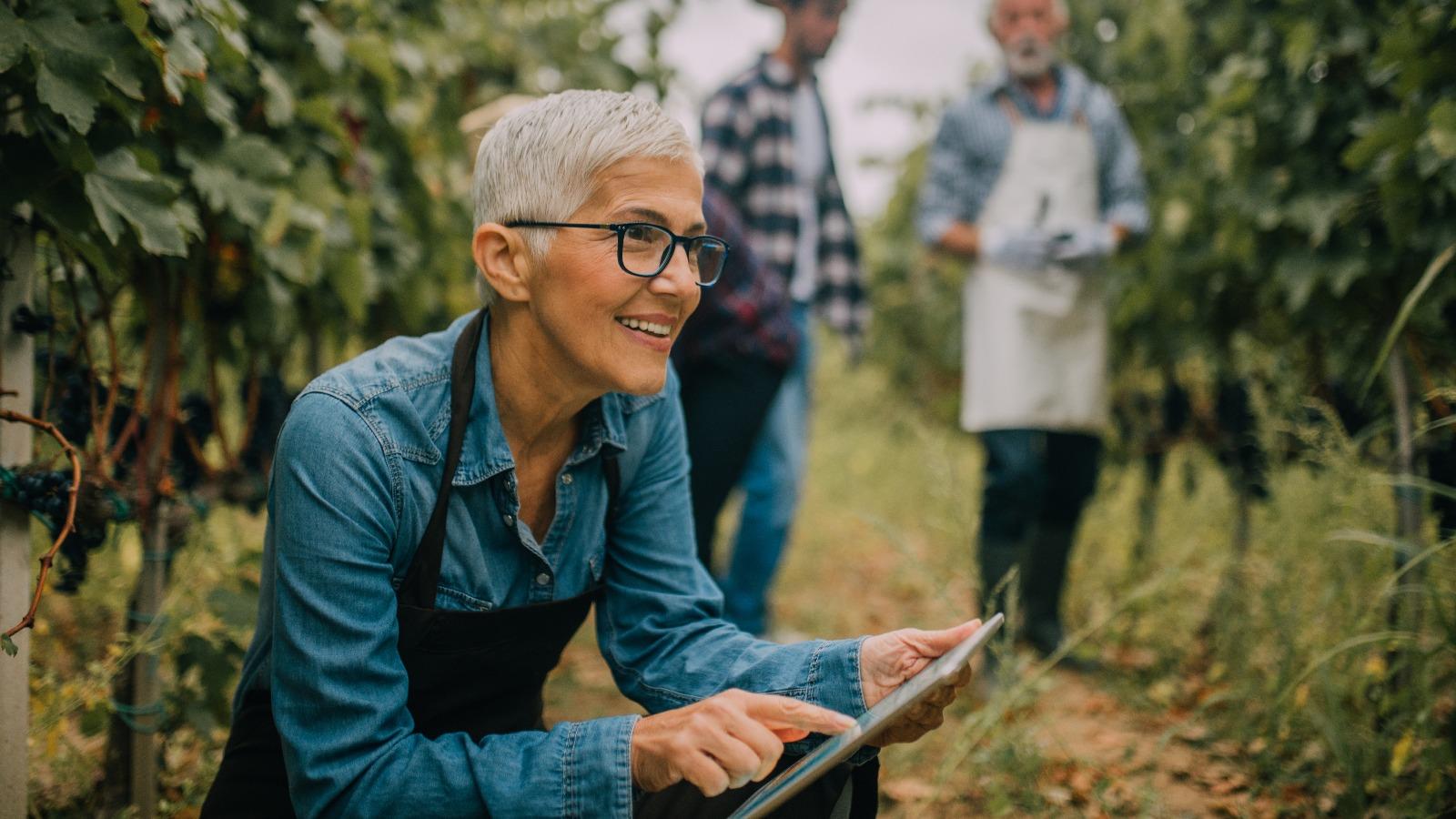 Woman using digital tablet in vineyard